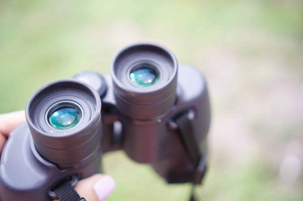 Les jumelles 10x42 : quels sont les avis sur ces paires de jumelles?